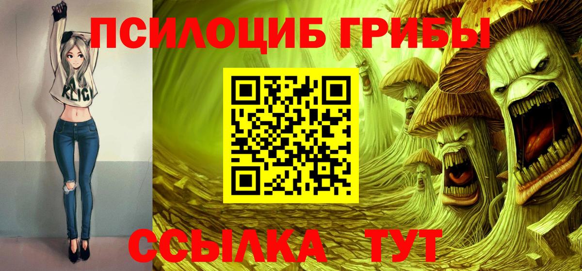 Псилоцибиновые грибы Psilocybe  Вход с VPN  Кондопога 